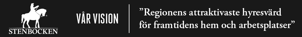 Stenbocken AB:s strategi och m...
