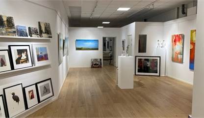 Victor hasselblads gata 11