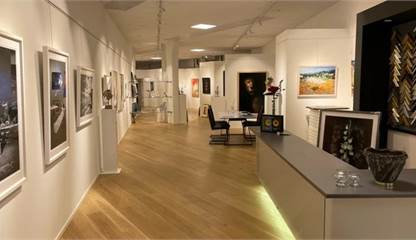 Victor hasselblads gata 11