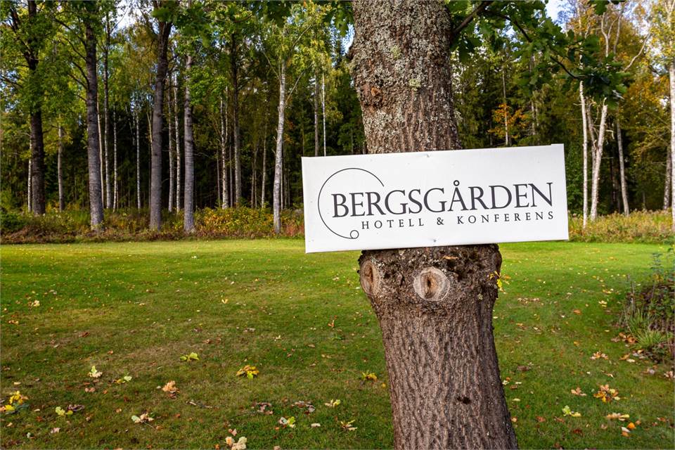 Bergsgården, Guldsmedshyttan