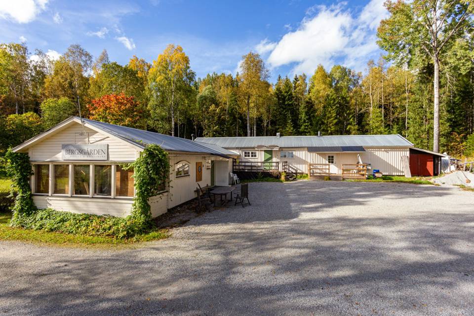 Bergsgården, Guldsmedshyttan