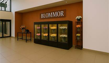 Illustration blomsterbutik Storholmsgatan 3