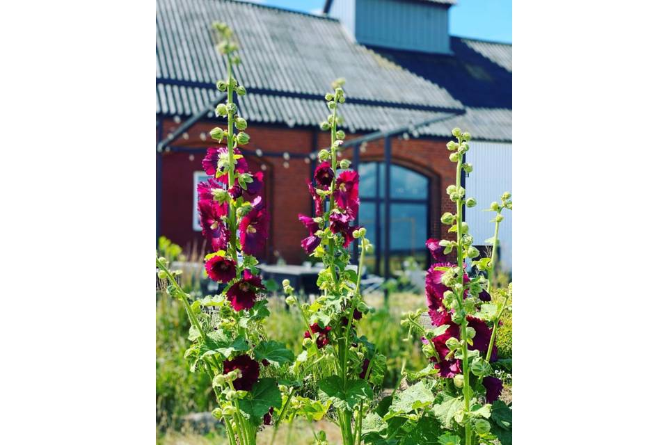 Stjärnevägen 18, Simrishamn