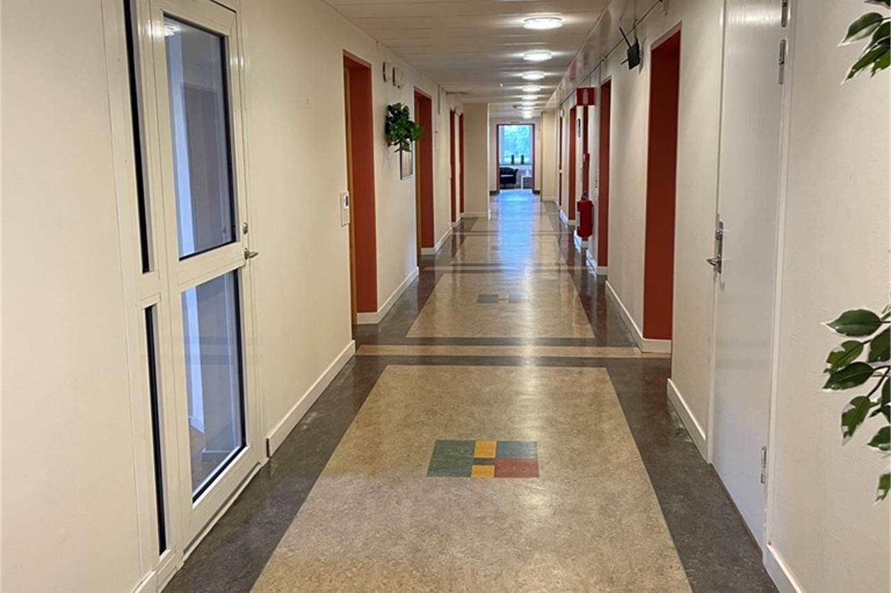 Brunnshusg/Nybrog mfl, Härnösand